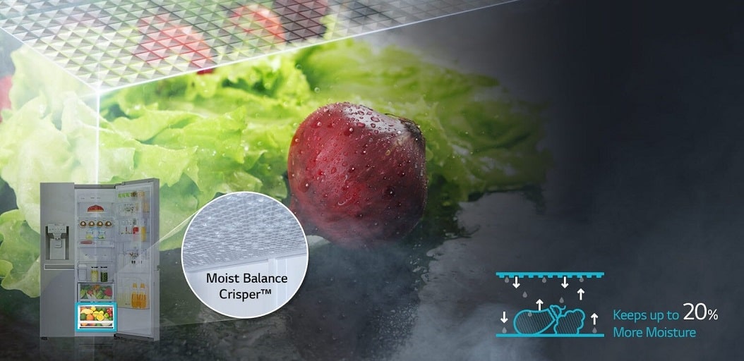 قابلیت Moist Balance Crisper