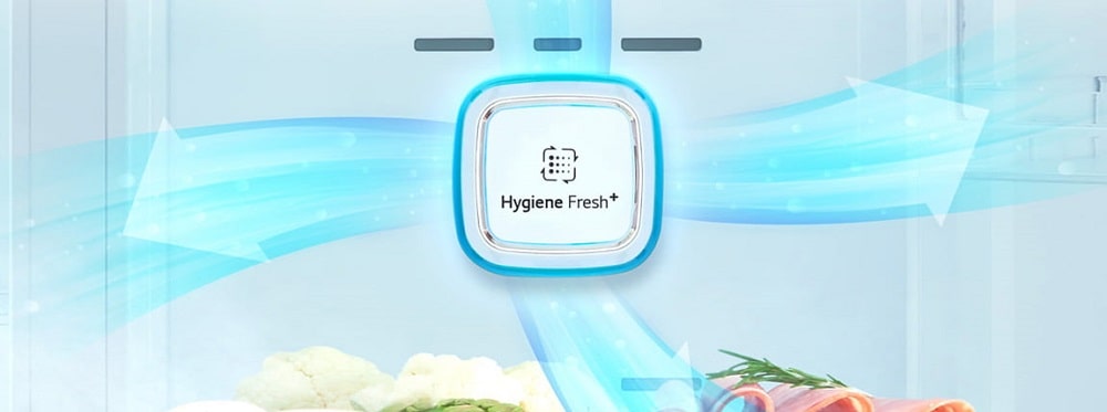 هوای پاکیزه با فیلتر بهداشتی ™+Hygiene Fresh