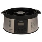 بخارپز دلمونتی مدل dl 230