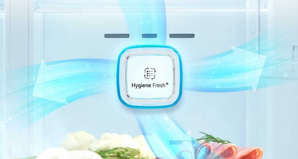 فیلتر بهداشتی ™+Hygiene FRESH در یخچال ال جی ایکس 39