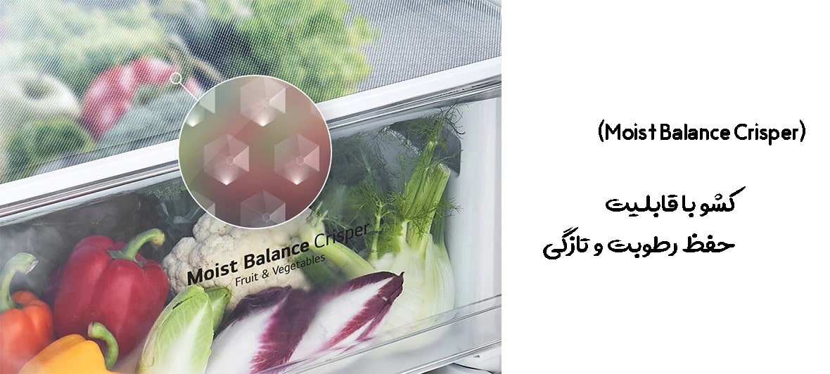 یخچال 511 و 514 کشوی Moist Balance Crisper وجود دارد 