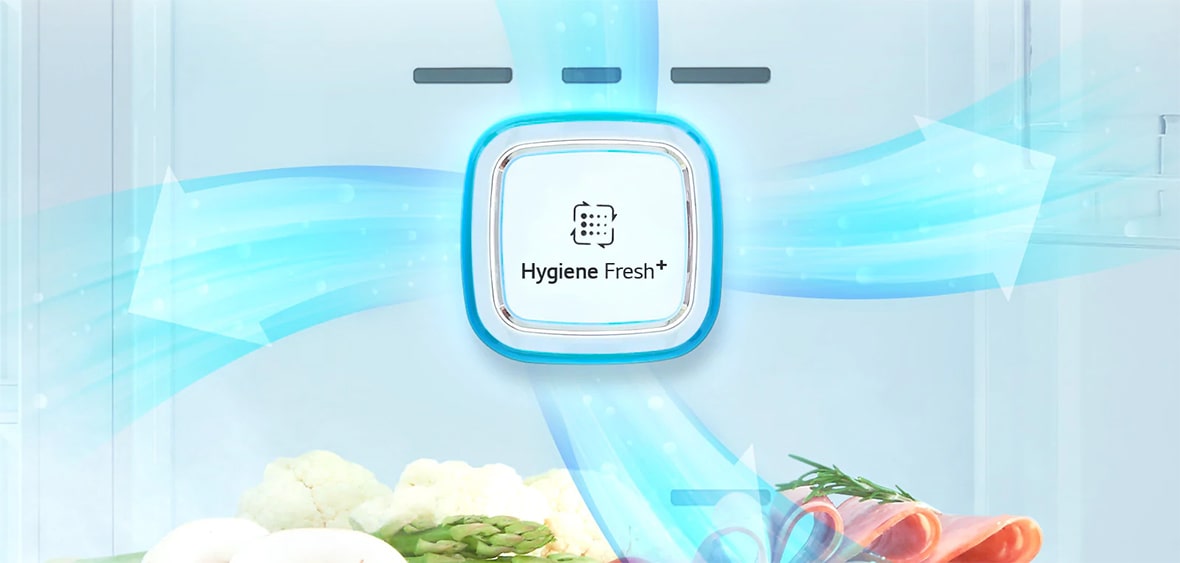 فیلتر بهداشتی Hygiene FRESH+ 