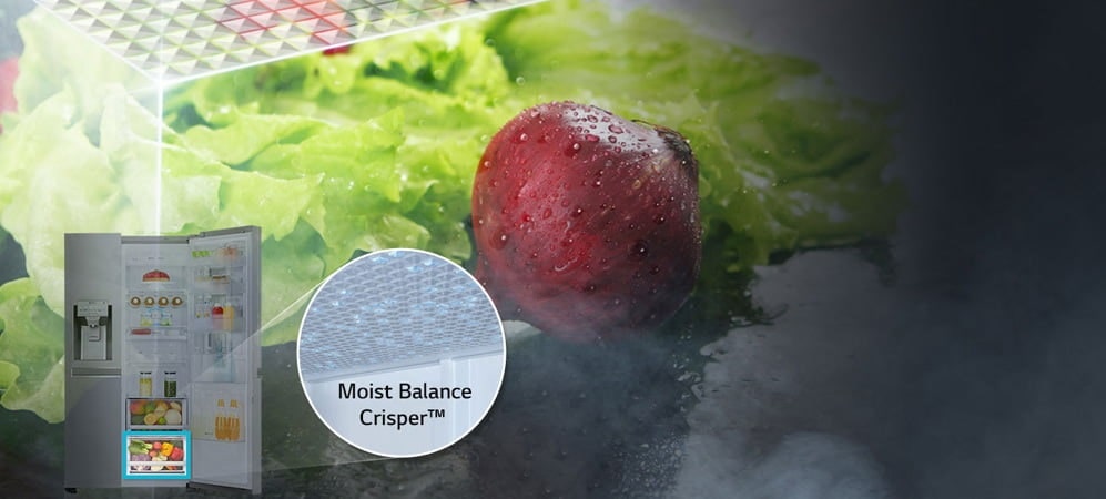 کشوی حفظ رطوبت Moist Balance Crisper