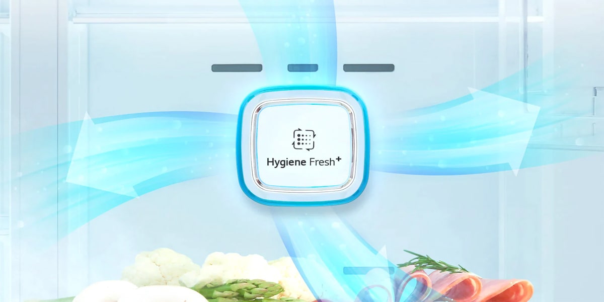 فیلتر بهداشتی Hygiene Fresh+