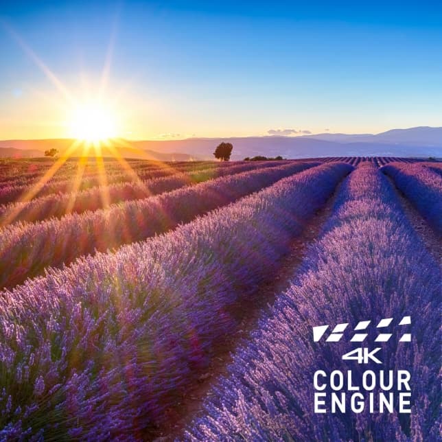 تصویر 4K تلویزیون پاناسونیک